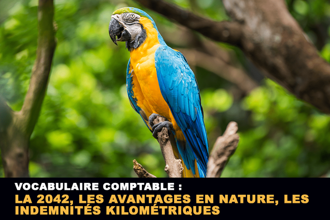 Vocabulaire comptable : la 2042, les avantages en nature, les IK (Indemnités Kilométriques)