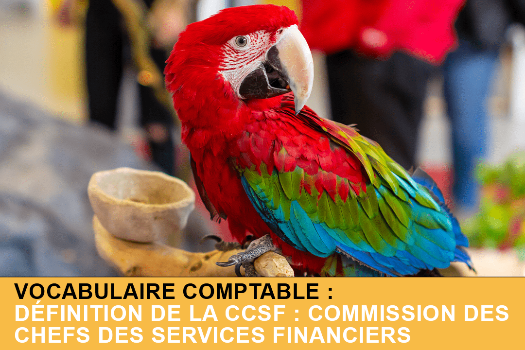 Définition de la CCSF : Commission des Chefs des Services Financiers